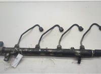 A6460701895, A6460700695 Рампа (рейка) топливная Mercedes Vito W639 2003-2014 20575711 #4