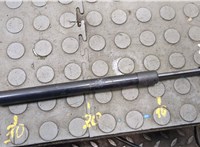 7L6827550N Амортизатор крышки багажника Volkswagen Touareg 2002-2007 20575731 #4