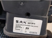 39102616, 545326626 Дефлектор обдува салона Citroen C3 Aircross 2017-2024 20575829 #3