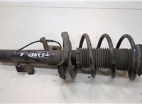 1619274, 3M5118K001CCM Амортизатор подвески Ford Focus 2 2008-2011 20576104 #1