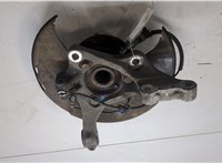 5308059, 13219081, 328042, 13507374 Ступица (кулак, цапфа) Opel Insignia 2008-2017 20576249 #4