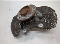 31216765157, 6765157, 31216865143, 6865143, 34106787309 Ступица (кулак, цапфа) BMW X1 (E84) 2009-2015 20576412 #1