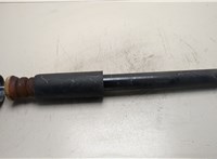 33506888463 Амортизатор подвески BMW X2 (F39) 2017-2023 20576545 #1