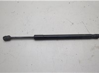 51237294524 Амортизатор капота BMW X5 F15 2013-2018 20574722 #1