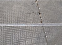  Молдинг двери Audi A6 (C5) 1997-2005 20576905 #8