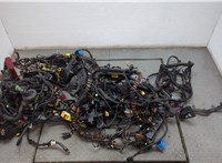 970610301 Электропроводка Porsche Panamera 2009-2016 20577056 #1