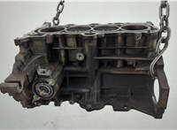  Блок цилиндров (Шорт блок) KIA Ceed 2007-2012 20577367 #1