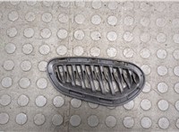 Заглушка (решетка) бампера Dodge Charger 2014-2025 20577786 #1