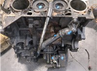  Блок цилиндров (Шорт блок) Ford Transit 2006-2014 20577818 #13