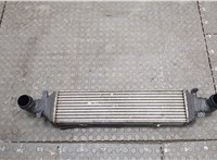 A2045000200 Радиатор интеркулера Mercedes C W204 2006-2015 20578924 #1