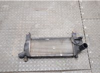 14461EB360 Радиатор интеркулера Nissan Pathfinder 2004-2014 20578936 #1