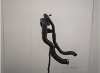  Патрубок охлаждения Mercedes ML W163 1997-2005 20579429 #1