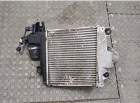 1794030080 Радиатор интеркулера Toyota Land Cruiser Prado (120) - 2002-2009 20579635 #3