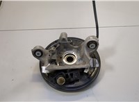  Ступица (кулак, цапфа) Volkswagen ID.4 20576977 #1
