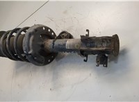 51880837, 51810695 Амортизатор подвески Fiat Doblo 2009-2022 20580145 #4