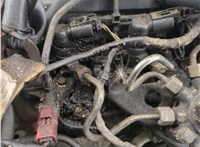 5125207, 2T143A696AK Насос гидроусилителя руля (ГУР) Ford Transit (Tourneo) Connect 2002-2013 11491925 #19