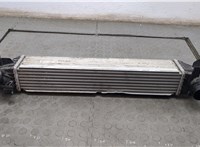 17518645761 Радиатор интеркулера BMW X2 (F39) 2017-2023 20582539 #1