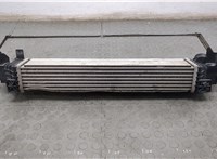 17518645761 Радиатор интеркулера BMW X2 (F39) 2017-2023 20582539 #2