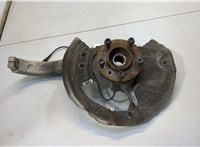 31226867808, 31226882263, 31216869869, 6869869 Ступица (кулак, цапфа) BMW X6 E71 2007-2014 20582877 #1
