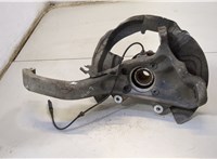 31226867808, 31226882263, 31216869869, 6869869 Ступица (кулак, цапфа) BMW X6 E71 2007-2014 20582877 #3