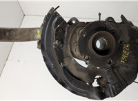31226867808, 31216869869 Ступица (кулак, цапфа) BMW X6 E71 2007-2014 20582963 #1