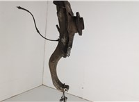 31226867808, 31216869869 Ступица (кулак, цапфа) BMW X6 E71 2007-2014 20582963 #4