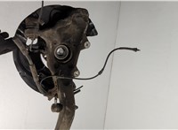 31226867808, 31216869869 Ступица (кулак, цапфа) BMW X6 E71 2007-2014 20582963 #5