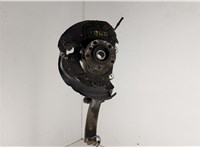 31226867808, 31216869870 Ступица (кулак, цапфа) BMW X6 E71 2007-2014 20582975 #1