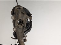 31226867808, 31216869870 Ступица (кулак, цапфа) BMW X6 E71 2007-2014 20582975 #5