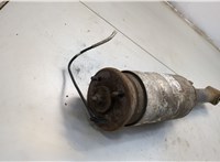 RNB501460 Амортизатор подвески Land Rover Range Rover Sport 2005-2013 20583151 #3