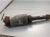 RNB501460 Амортизатор подвески Land Rover Range Rover Sport 2005-2013 20583153 #1