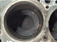 65195531106105 Блок цилиндров (Шорт блок) Mercedes Sprinter 2006-2018 20583185 #15