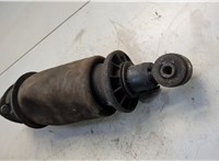 2493164 Пневмоподушка подвески кабины Scania 5-series R (2004 - 2016) 20583607 #3