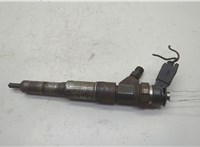 13537789661, 7789661 Форсунка топливная BMW X5 E53 2000-2006 20583869 #1