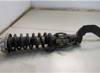 31316792929, 31336782993 Амортизатор подвески BMW X6 E71 2007-2014 20584615 #1