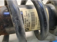 31316792929, 31336782993 Амортизатор подвески BMW X6 E71 2007-2014 20584615 #2