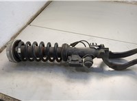 31316792929, 31336782993 Амортизатор подвески BMW X6 E71 2007-2014 20584615 #4