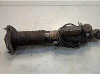 33526788511, 6788511 Амортизатор подвески BMW X6 E71 2007-2014 20584649 #1