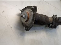 33526788511, 6788511 Амортизатор подвески BMW X6 E71 2007-2014 20584649 #3