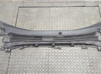 LJ8BR02216CAW Жабо под дворники (дождевик) Ford Mustang Mach-E 20584719 #1