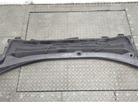 LJ8BR02216CAW Жабо под дворники (дождевик) Ford Mustang Mach-E 20584719 #2