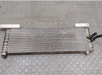 4L2H7A095AA Радиатор масляный Ford Explorer 2001-2006 20584805 #1