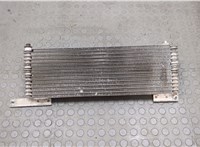 4L2H7A095AA Радиатор масляный Ford Explorer 2001-2006 20584805 #3