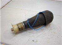 33106781844, 6781844 Пневмоподушка BMW 5 F07 Gran Turismo 2010-2017 20585206 #1