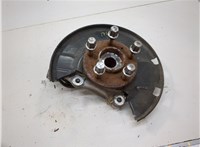13526966, 23118285, 13324458 Ступица (кулак, цапфа) Chevrolet Volt 2010-2015 20585384 #1