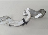 1750016, BM51A16800AD Петля капота Ford Focus 3 2011-2015 20585415 #1