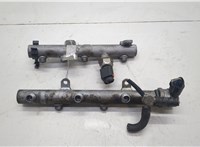  Рампа (рейка) топливная Audi Q7 2005-2015 20585807 #1