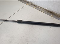 4L2478406A10AA Амортизатор капота Ford Explorer 2001-2006 20586961 #1