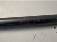 4L2478406A10AA Амортизатор капота Ford Explorer 2001-2006 20586961 #3