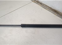 1L2Z16C826AA Амортизатор капота Ford Explorer 2001-2006 20586966 #1